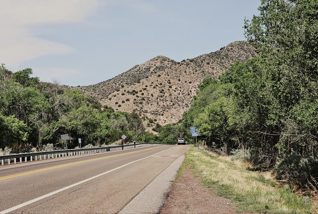 A Visitor's Guide to Cedar Crest