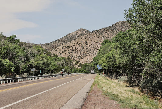 A Visitor's Guide to Cedar Crest